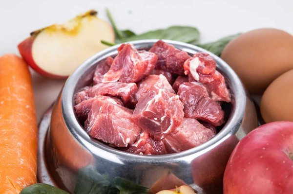 Quelles sont les implications d'une alimentation BARF pour la santé bucco-dentaire des chats ?